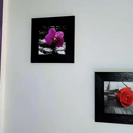 La Becca Di Nona Cir Vda 0003 Apartment *